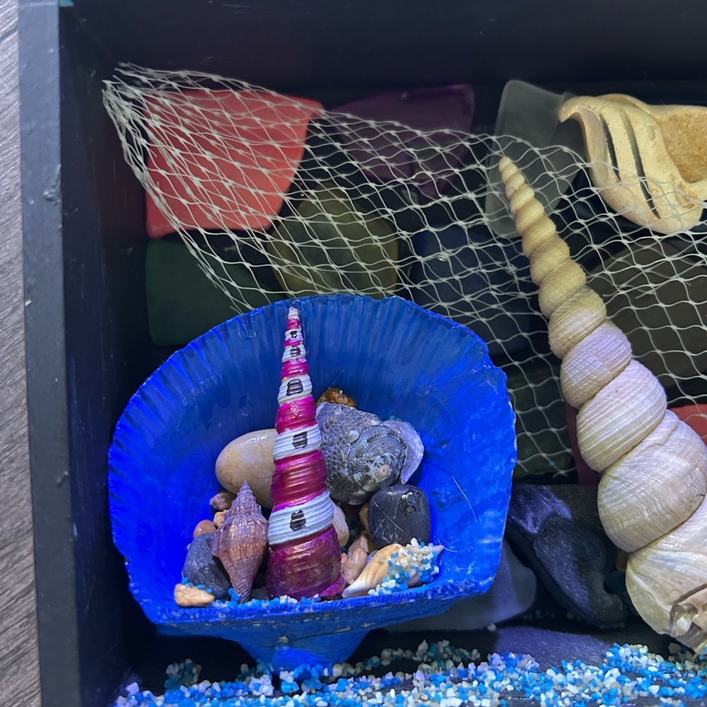 Shadowbox seashell art - Picture 3 of 4